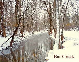 Bat Creek in winter, near Madisonville.