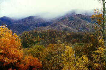 The Great Smoky Mountains National Park.