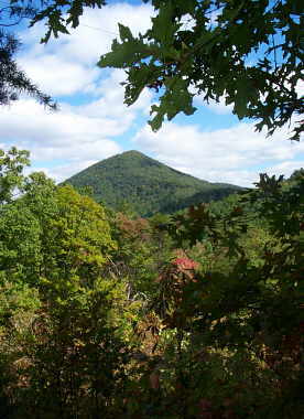Just above Unicoi Gap, Peals High Top in the background.