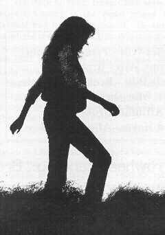 Sunset along the Cherohala Skyway near Tellico Plains.