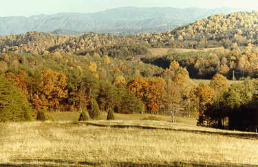 View near my home.